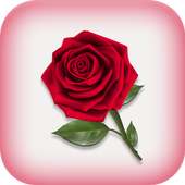 Gallery on 9Apps