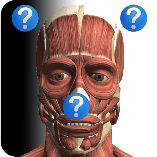 Anatomy Quiz icon