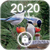 4K Garden Birds Lock Screen Wallpaper icon