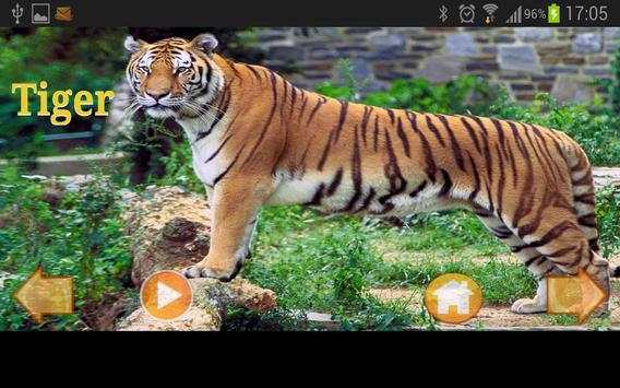 Animals World screenshot 5