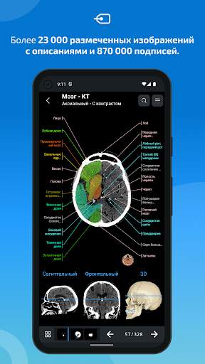 e-Anatomy скриншот 2