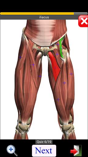 Anatomy Quiz screenshot 5