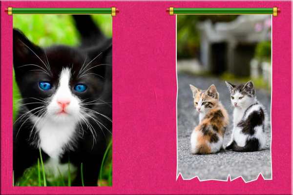Cat Dialer Theme screenshot 2