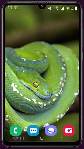Snake Wallpaper Best HD screenshot 3