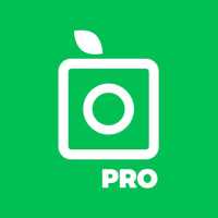 PlantSnap Pro - Identify Plants, Flowers &amp; Trees icon