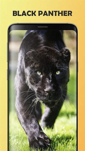Black Panther Wallpaper screenshot 3