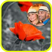 صورتك في اطارات ورود للحبيب on 9Apps