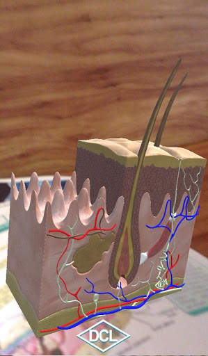 DCL 3D Biologia 1 скриншот 3