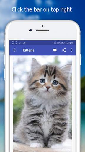 Cutie Cat Wallpaper screenshot 3