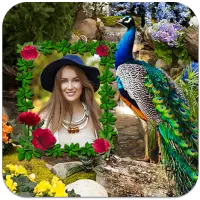 Peacock Photo Frames on 9Apps