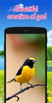 Bird Ringtones screenshot 4