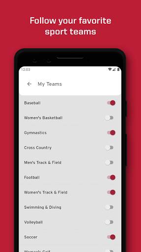 Arkansas Razorbacks screenshot 2