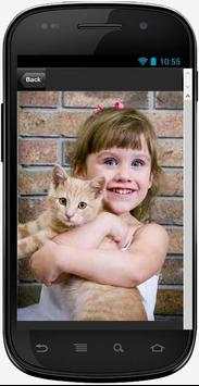 Funny Funny Cat Videos screenshot 2