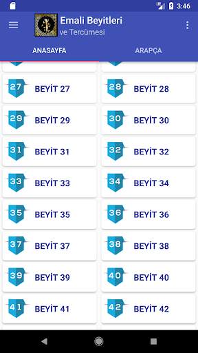 Emali Beyitleri ve Tercümesi скриншот 5