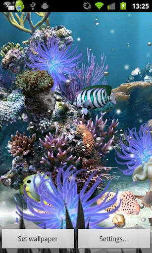 Coral Reef Lite Free Aqua Live screenshot 3