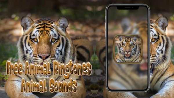 Free Animal Ringtones - Animal Sounds screenshot 1