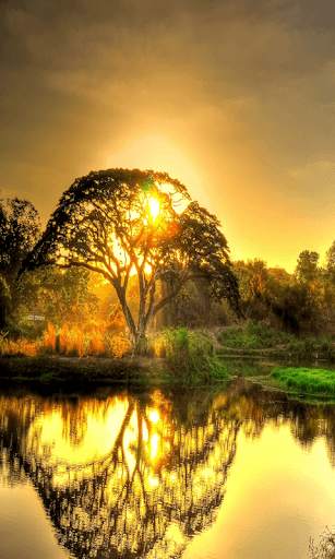Best Scenery Live Wallpaper screenshot 7