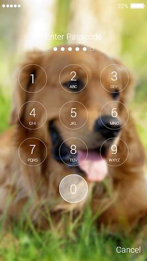 Golden Retriever Lock Screen screenshot 4