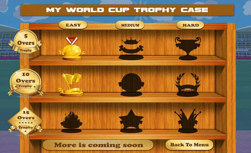 Play Cricket for Fun screenshot 19