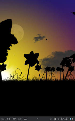 Daffodils Free Live Wallpaper screenshot 4