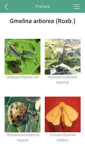 Tree Pests of INDIA screenshot 4
