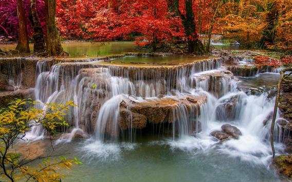 Nature Wallpapers screenshot 4