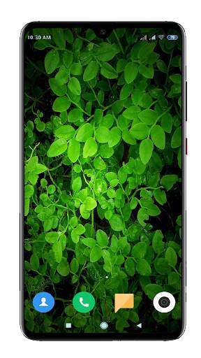 Green Wallpaper HD screenshot 13