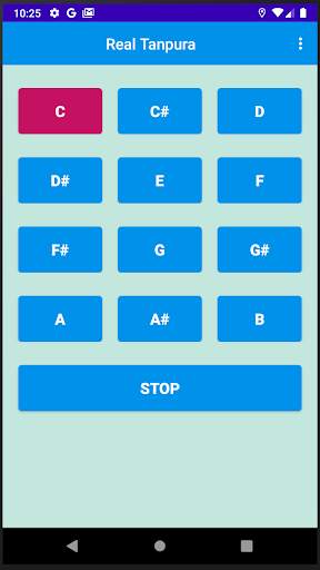 Real Tanpura screenshot 2