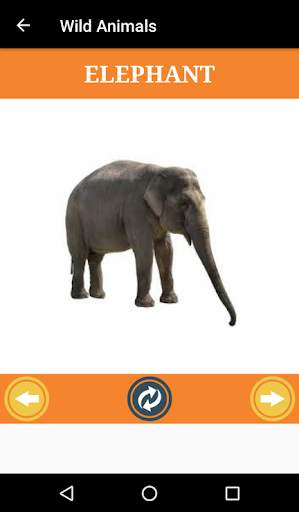 Flashcard of kids to know the world screenshot 3