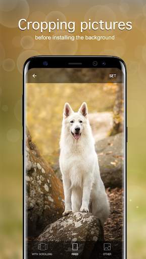 Dog Wallpapers PRO screenshot 3