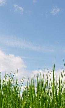 Grass wallpapers screenshot 3