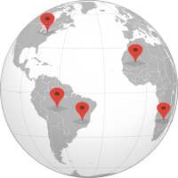 International Number Tracker icon