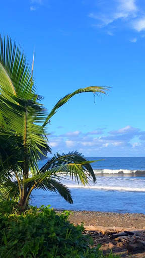 tropical beach live wallpaper screenshot 1