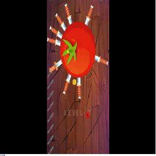 ninja screenshot 1