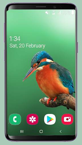 Bird Wallpaper New 4K screenshot 14