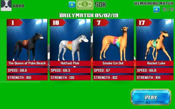 Dog Racing Dudu screenshot 2