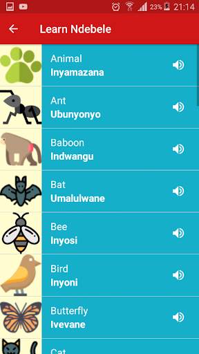 Learn Ndebele screenshot 5