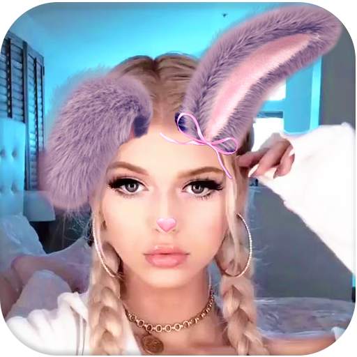 Rabbit face Photo 1.0