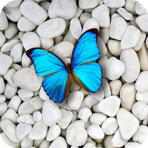 Stone Wallpapers 4K icon