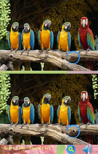 Find Difference Game 2021 screenshot 5