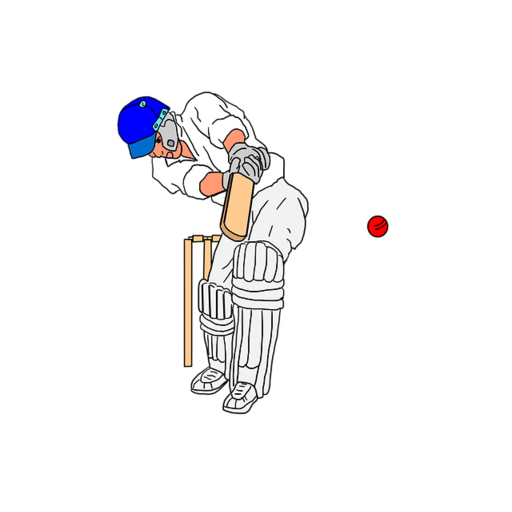 CRICKET 2020 QUIZ GAME - T20 L иконка