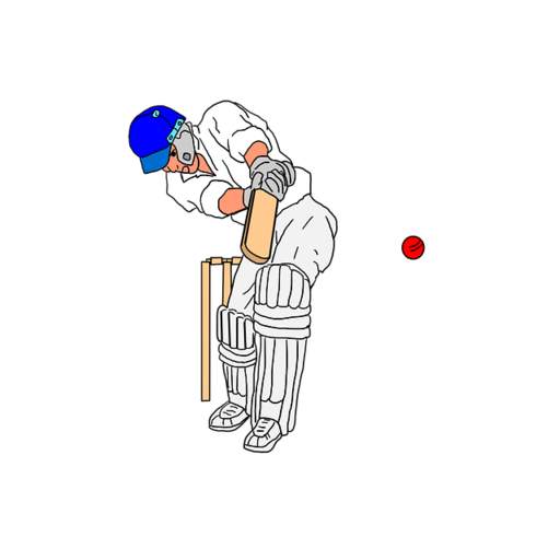 CRICKET 2020 QUIZ GAME - T20 L 1.8