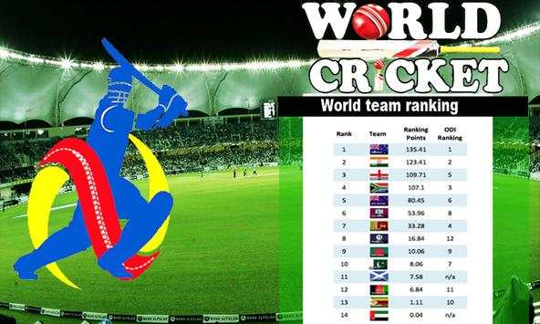 World Cricket screenshot 3