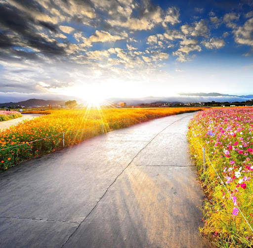 Beautiful Spring Wallpaper 1 تصوير الشاشة