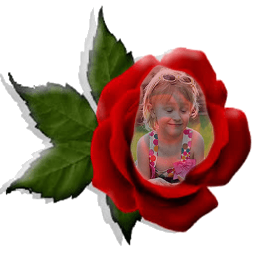 Red Rose Photo Montage icon