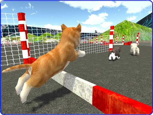 Cute Puppy Dog Racing Sim 2017 screenshot 9