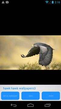 Hawk Bird of Prey HD Wallpaper screenshot 4