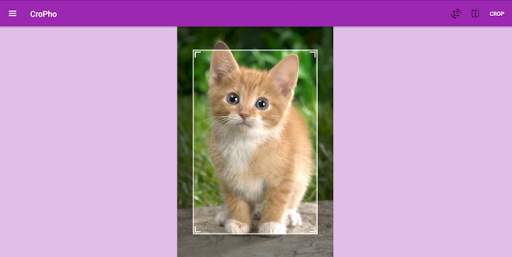 Free Photo Editor screenshot 5