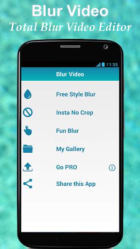 Blur Video screenshot 1