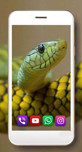Snake Sounds Live Wallpaper screenshot 3